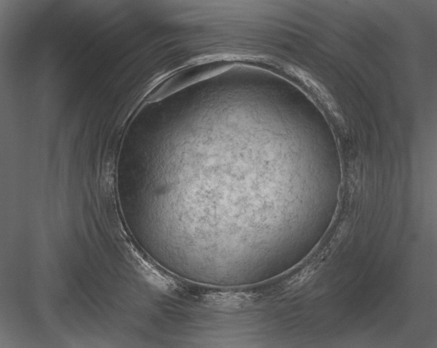 X0000084051185200702232343