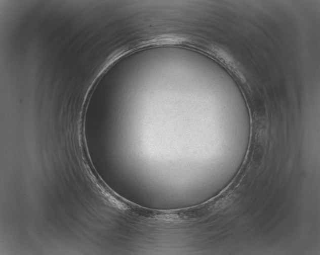 X0000084051186200702232343