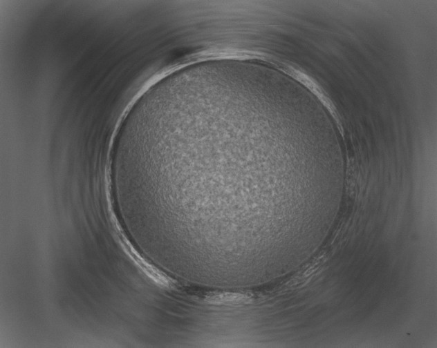 X0000084051187200702232343