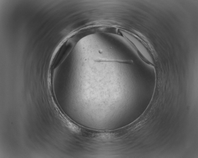 X0000084051188200702232343