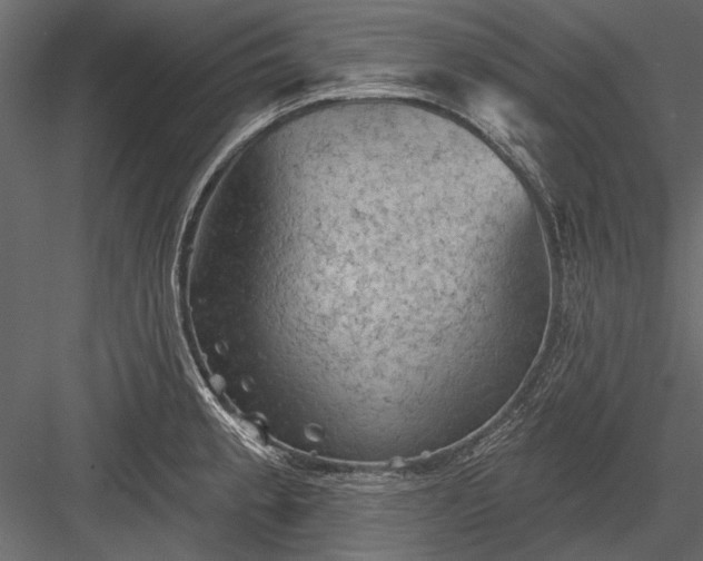 X0000084051189200702232343