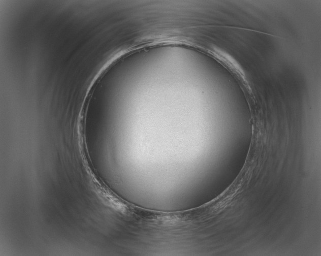 X0000084051190200702232343