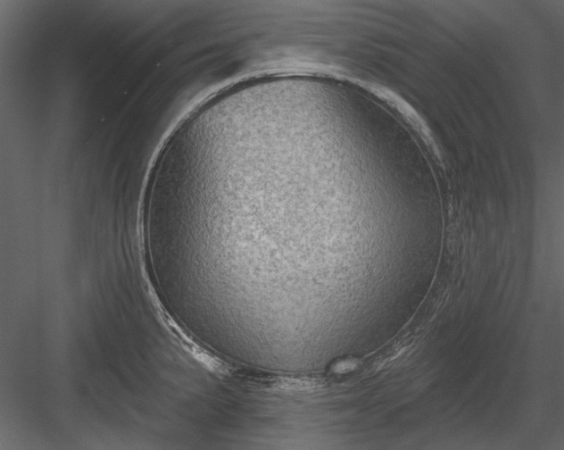 X0000084051191200702232343