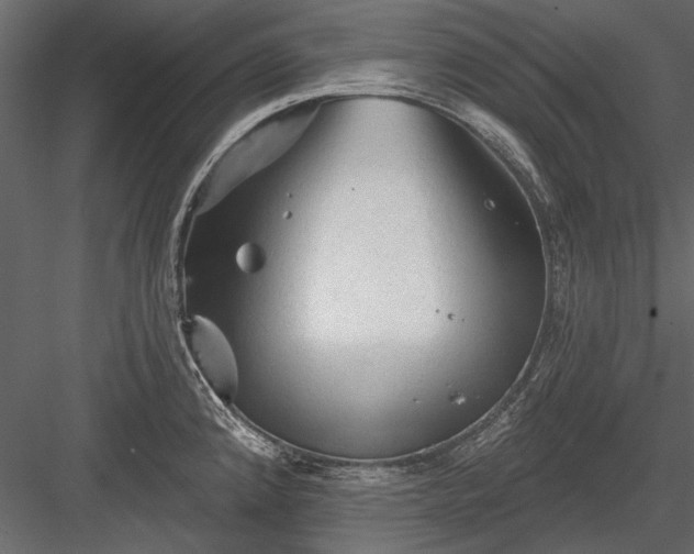 X0000084051192200702232343