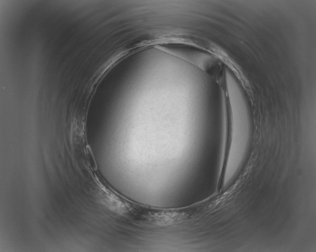 X0000084051193200702232343