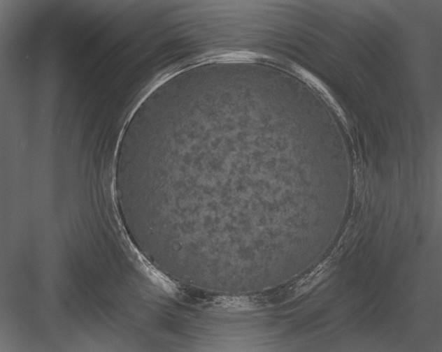 X0000084051194200702232343