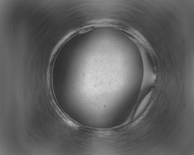 X0000084051196200702232343