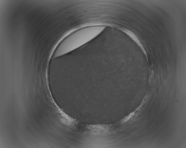 X0000084051197200702232343