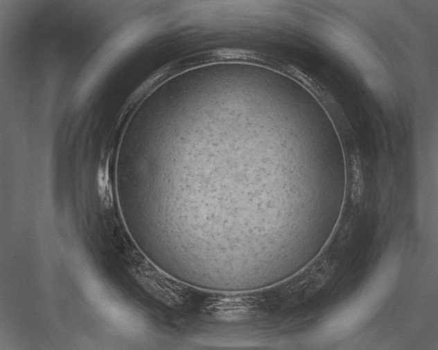 X0000084051198200702232343