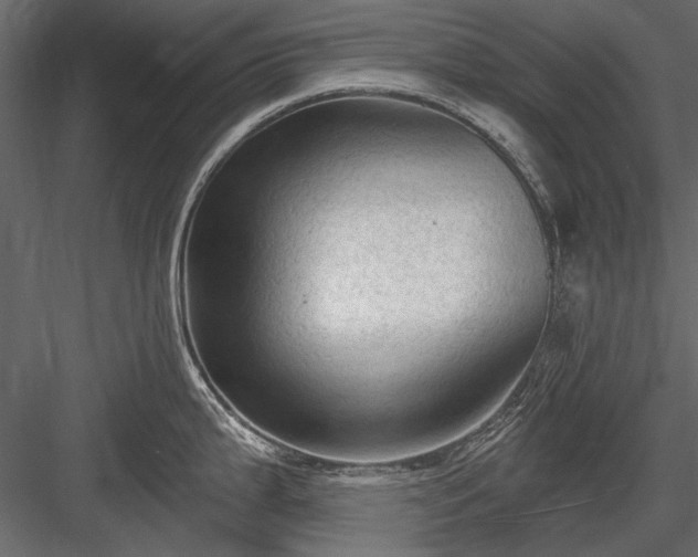 X0000084051199200702232343