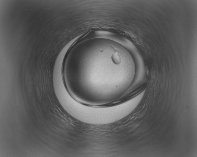 X0000084051202200702232342