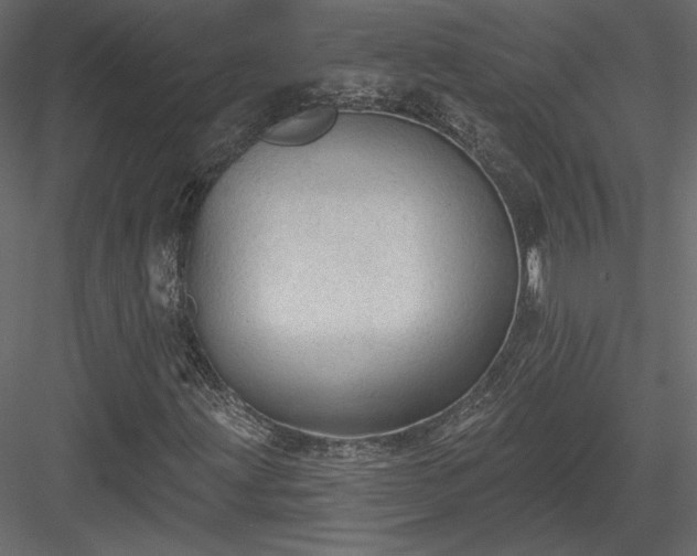 X0000084051203200702232342