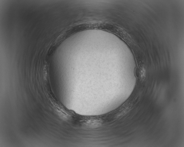 X0000084051204200702232342