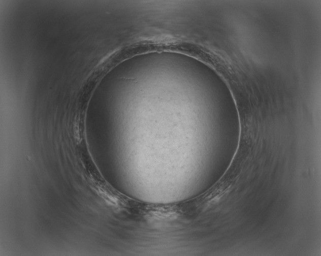 X0000084051205200702232342