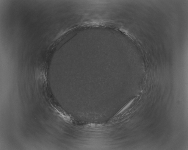 X0000084051206200702232342