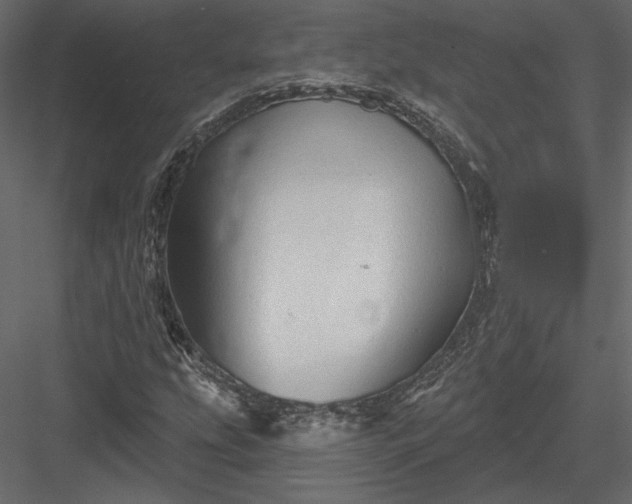 X0000084051207200702232342