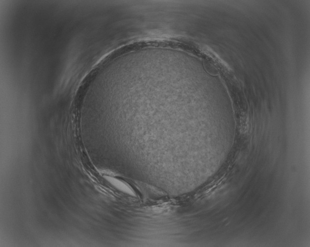 X0000084051208200702232342