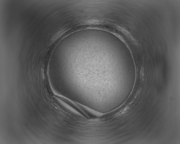 X0000084051209200702232342