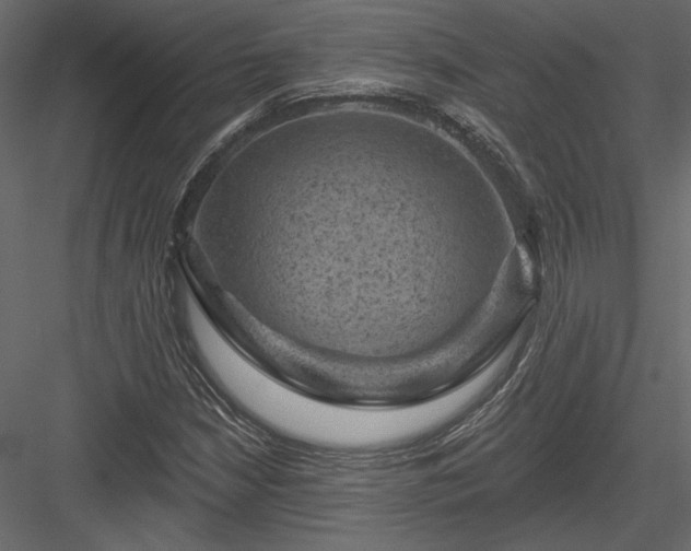 X0000084051210200702232342