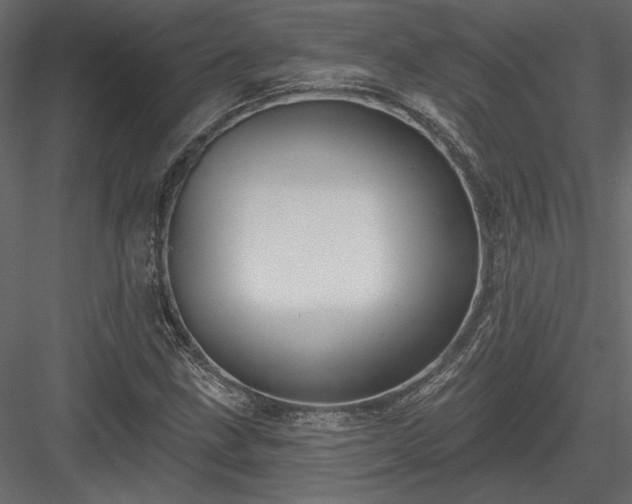 X0000084051211200702232342