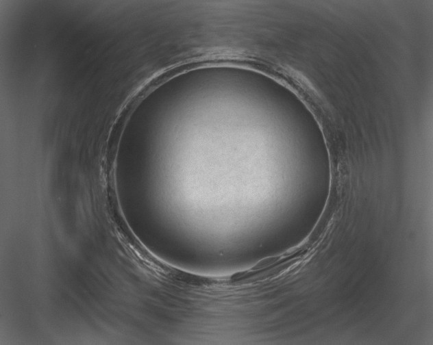 X0000084051212200702232342