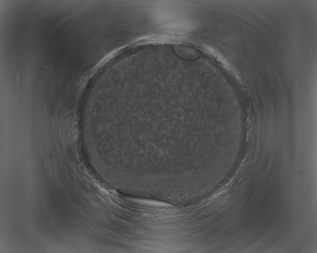 X0000084051213200702232342