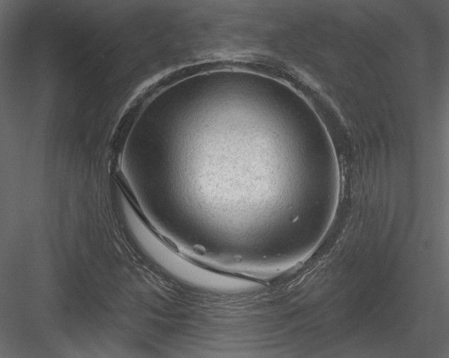 X0000084051214200702232342