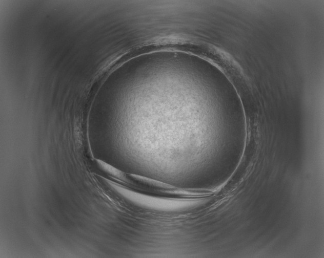 X0000084051217200702232342