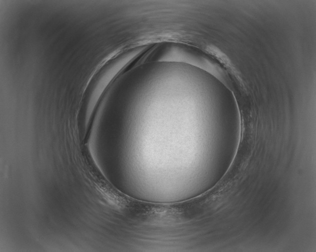 X0000084051218200702232342