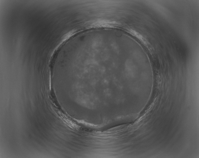 X0000084051219200702232342