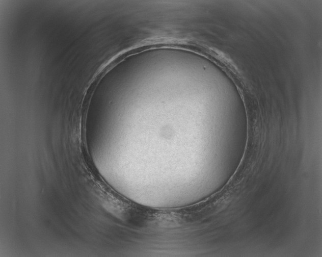 X0000084051220200702232342