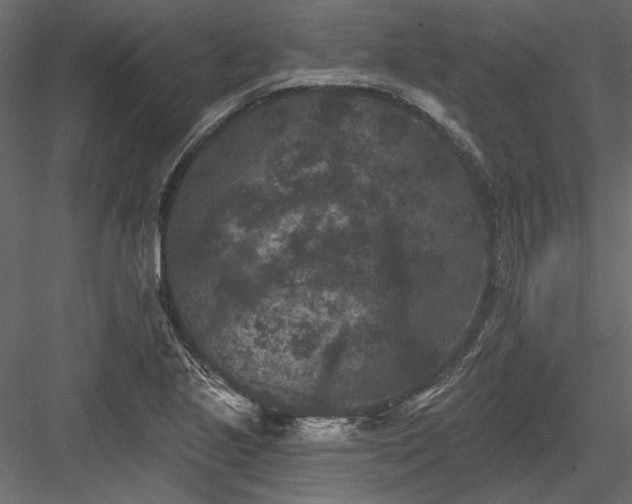 X0000084051221200702232342