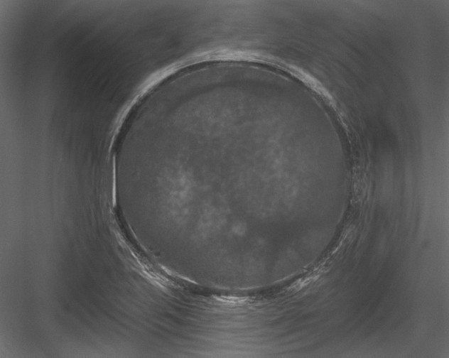 X0000084051223200702232342