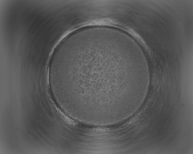 X0000084051224200702232342