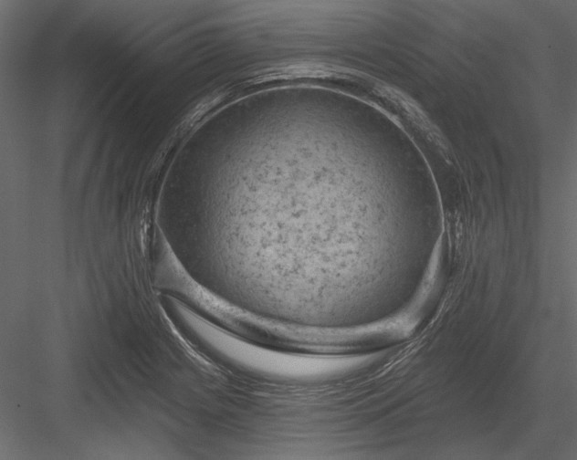 X0000084051225200702232343