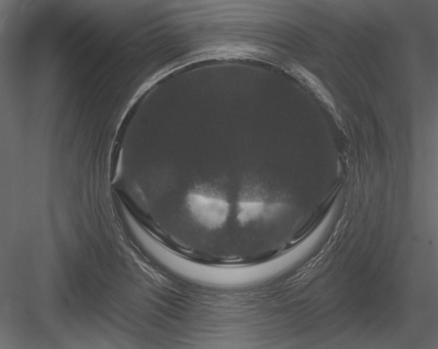 X0000084051226200702232343