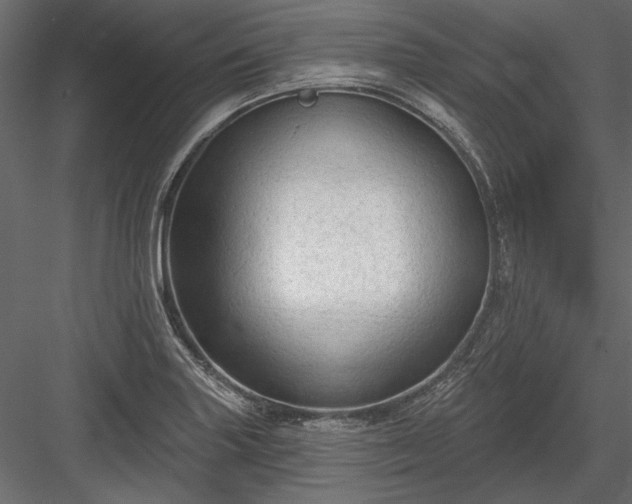 X0000084051227200702232343