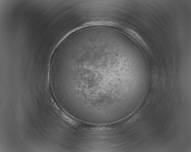 X0000084051228200702232343