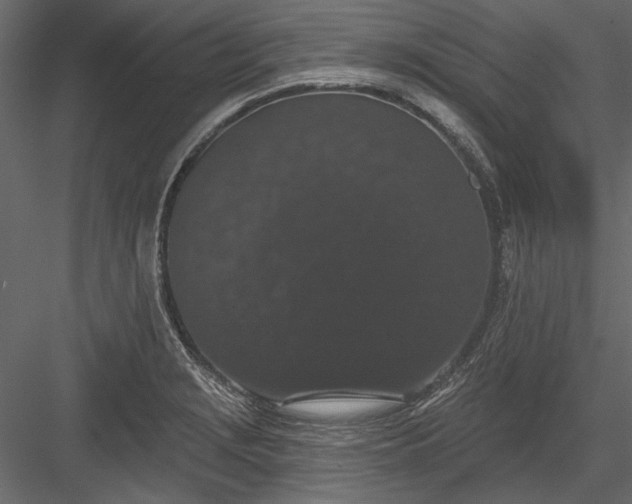 X0000084051229200702232343