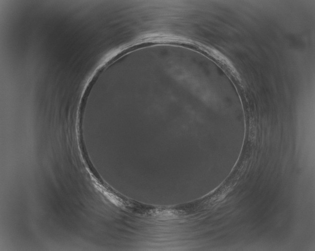 X0000084051231200702232343