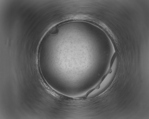 X0000084051232200702232343