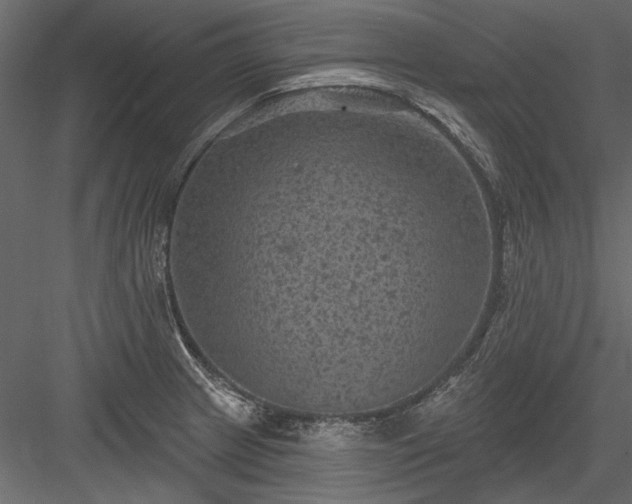 X0000084051233200702232343