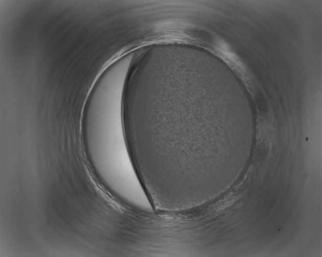 X0000084051234200702232343