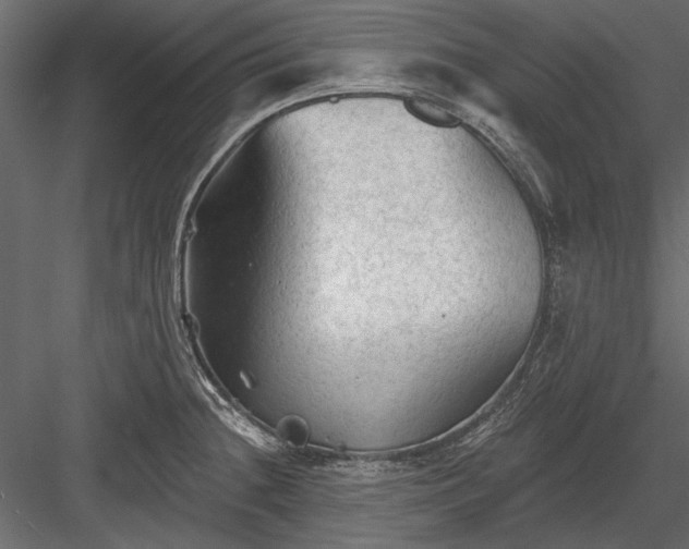 X0000084051236200702232343