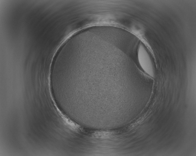 X0000084051237200702232343