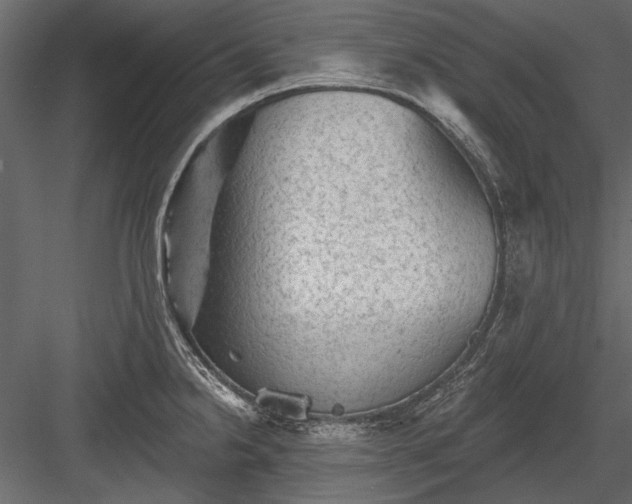 X0000084051238200702232343