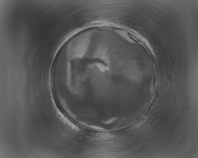 X0000084051239200702232343