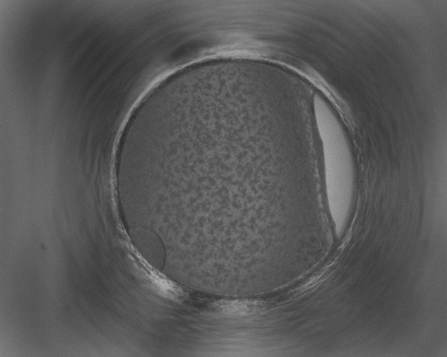 X0000084051240200702232343