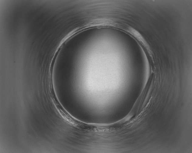 X0000084051242200702232343