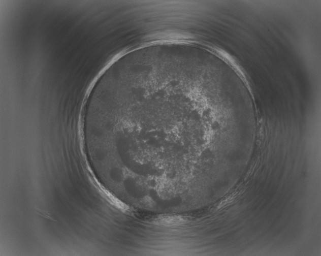 X0000084051243200702232343